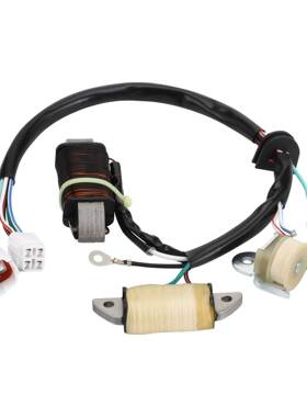 Yfm猛禽50 80 95-08 4EM-85560-10 4EM-8EM-85560-12 线圈