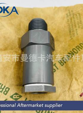 1110010008 适用于康明斯汽车 共轨泄压阀 燃油导轨泄压限制阀