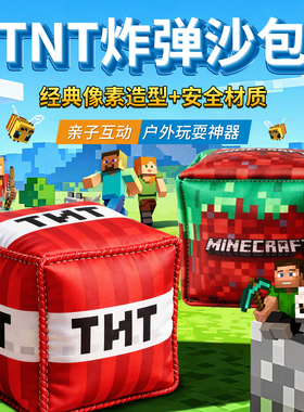 加厚大沙包小学生专用我的世界幼儿园儿童户外草坪投掷丢沙包玩具