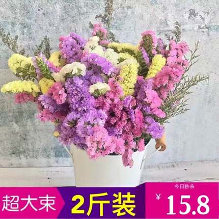 云南勿忘我干花花束干鲜花论斤卖大束长款满天星装饰家居摆设插花