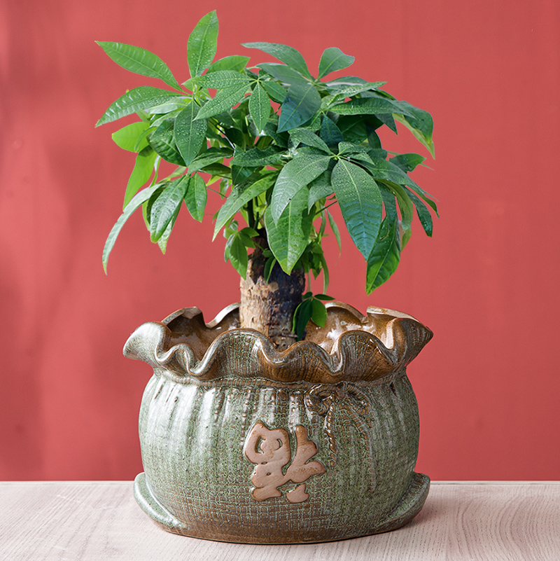 聚财布袋钱袋园艺蝴蝶兰花盆陶瓷