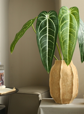 仿真蔓绿绒火鹤王水晶花烛网红彩色叶室内悬挂绿植物墙面造景装饰