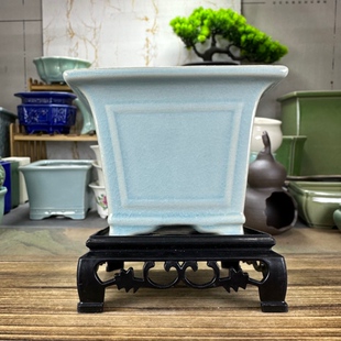 12*10cm带底座高温石湾冰裂飘窗四方斗笠花盆金弹子金豆竹子桌面