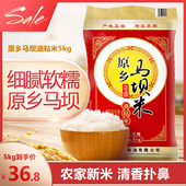 新米马坝油粘米广东特产农家大米5kg长粒香米10斤优质2025新籼米