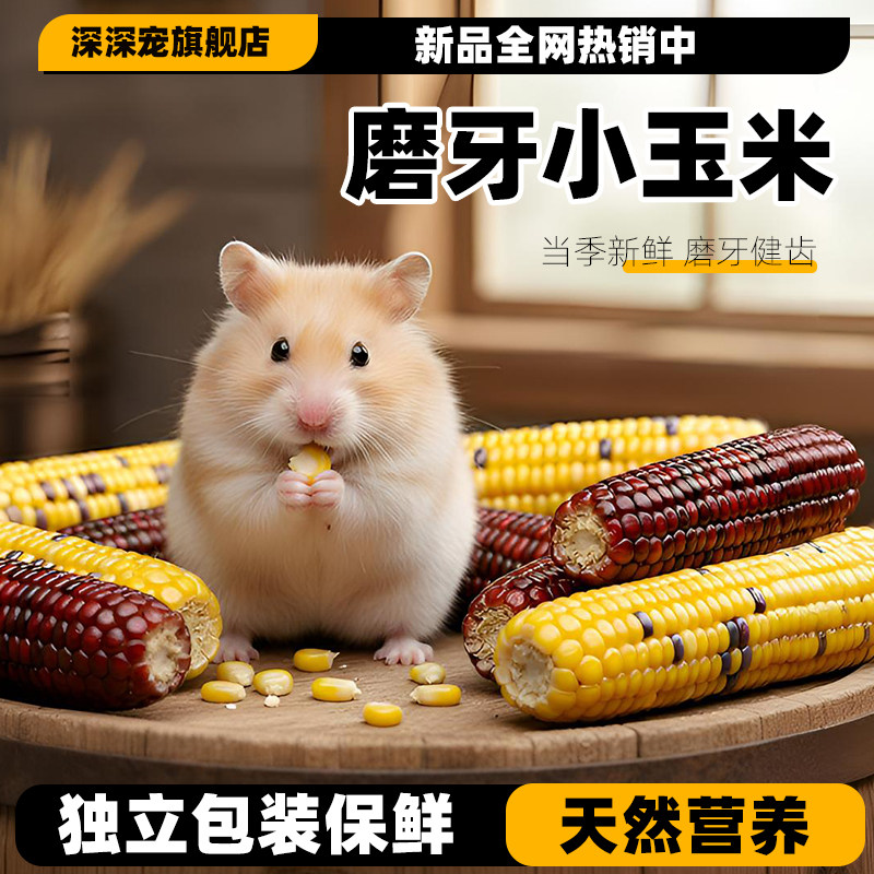 仓鼠零食磨牙棒小玉米笋金丝熊营养粮食物增肥花枝鼠造景玩具用品,宠物/宠物食品及用品,玩具/造景装饰,淘宝优惠券,粉丝福利购,淘宝优惠卷