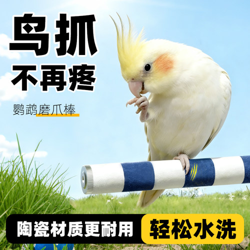 深深宠鹦鹉鸟用磨砂站杆