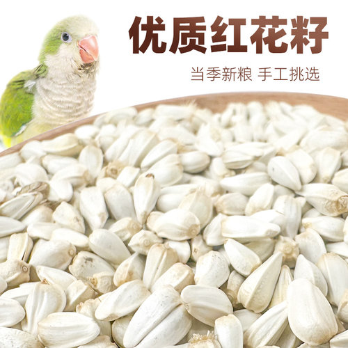 深深宠当季新粮营养丰富鸟儿爱吃