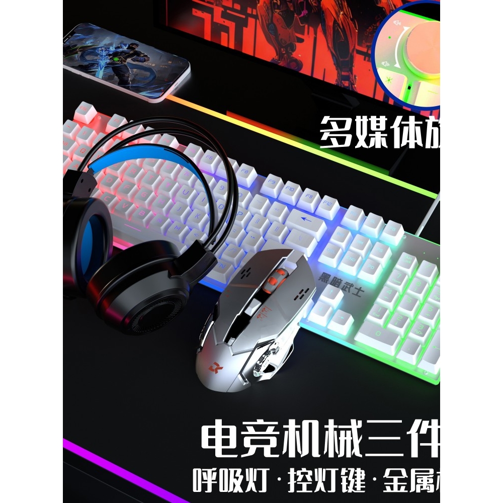 双飞蛇有线键盘鼠标套装背光游戏台式电脑笔记悬浮键帽机械手感US