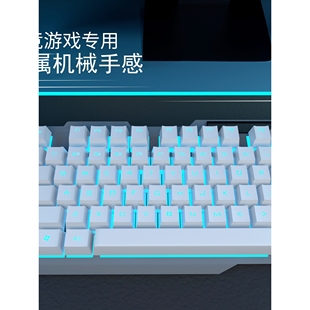 电竞办公台式 双飞蛇机械手感键盘有线游戏鼠标套装 电脑键鼠USB外