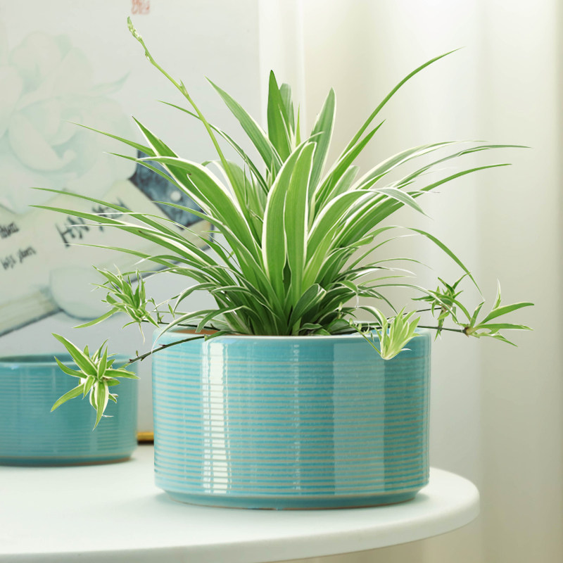 简约花盆陶瓷大口径盆栽吊兰专用