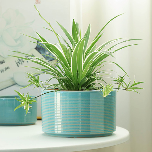 简约花盆陶瓷大口径盆栽吊兰专用