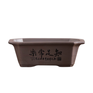 经典禅意精品紫砂长方形盆栽复古陶瓷花盆氛围感桌面摆件文竹专用