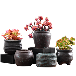 古典多肉花盆老桩陶瓷粗陶透气群生肉肉植物法师圆形透气陶罐花盆