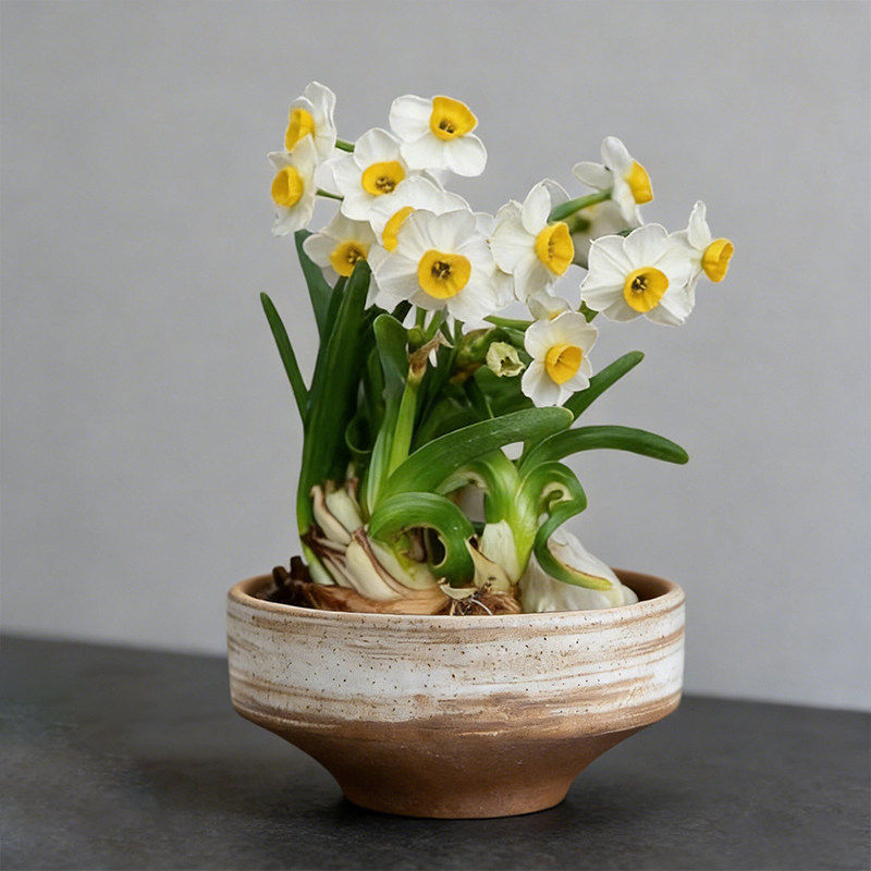 水仙花盆水仙雕刻陶瓷水养花卉水培器皿专用绿植盆景室内桌面摆件