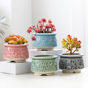 多肉花盆清仓大口径陶瓷简约创意猫爪绿植花盆特价 小流釉 透气个性
