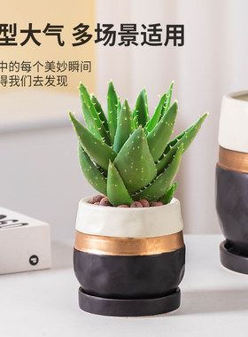 花盆陶瓷大号家用花盆带托