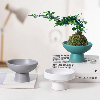 苔藓球花盆陶瓷现代苔藓球托盘