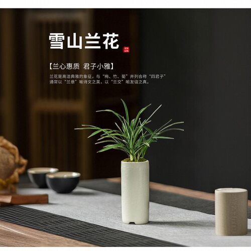 中式雪山兰花迷你花盆拇指盆