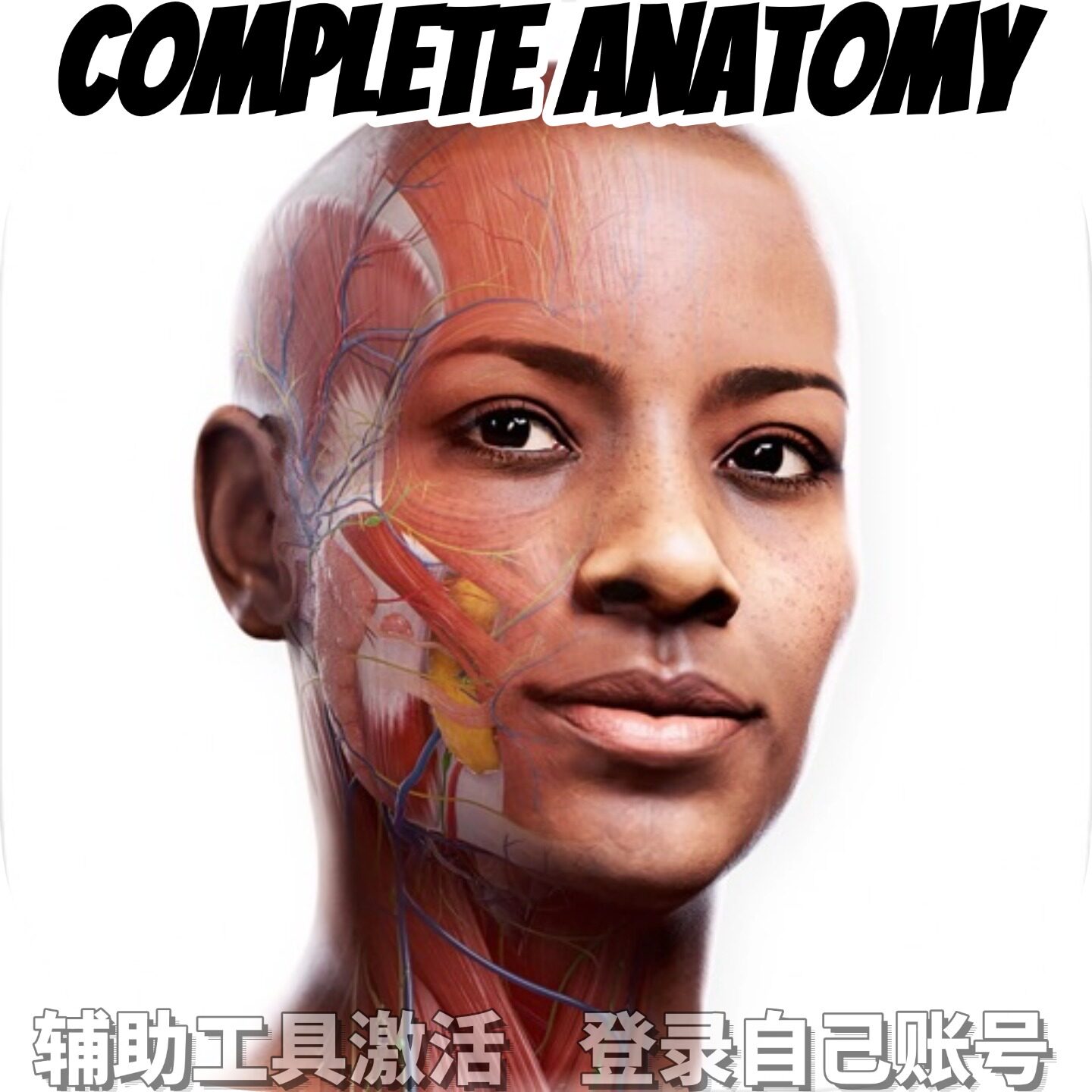 complete anatomy个人独享永久会员/不支持安卓-鸿蒙
