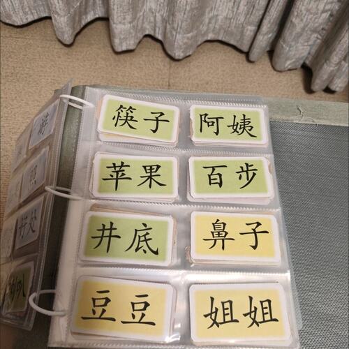 字卡收纳册横版大容量幼儿园活页相册识字卡帮我早读