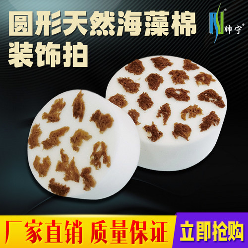 天然海藻棉装饰拍帅宁