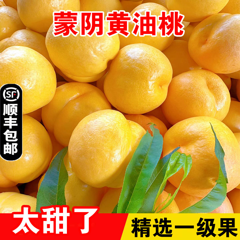 蒙阴黄油桃黄金桃黄心纯甜现摘黄肉脆甜多汁新鲜水果整箱软桃顺丰