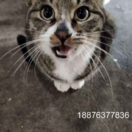 罗德与斯瓦茨ZNB8，2端口 全新议价