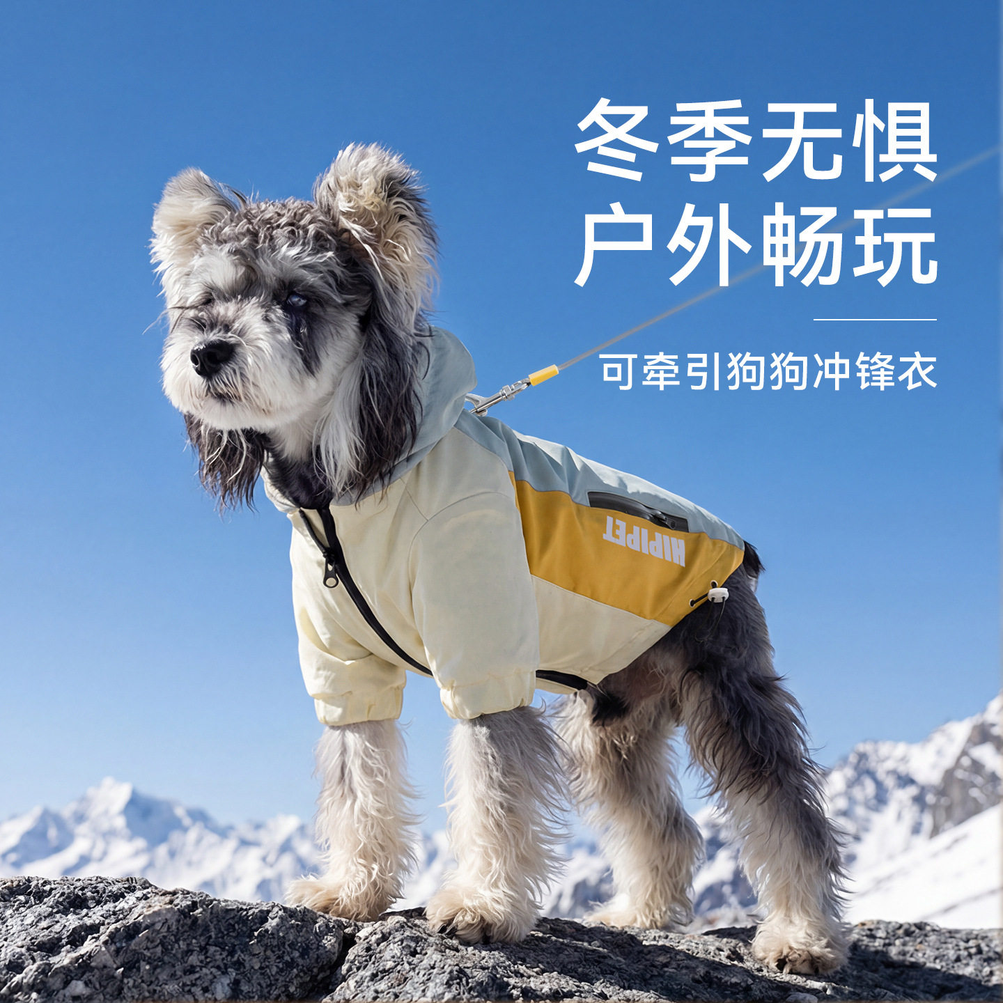 嬉皮狗宠物冲锋衣雪纳瑞泰迪中小型犬撞色户外两脚春秋季狗狗衣服,宠物/宠物食品及用品,狗宠物服装/雨衣,淘宝优惠券,粉丝福利购,淘宝优惠卷