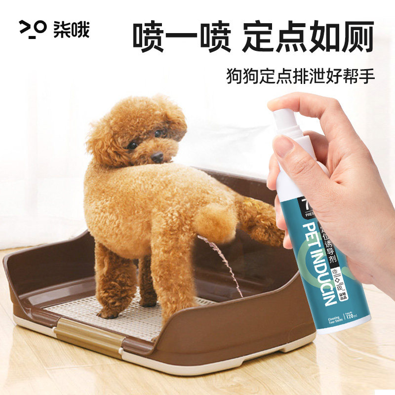 狗狗厕所诱导剂大小便定位定点排便训厕液宠物排便诱导剂宠物用品