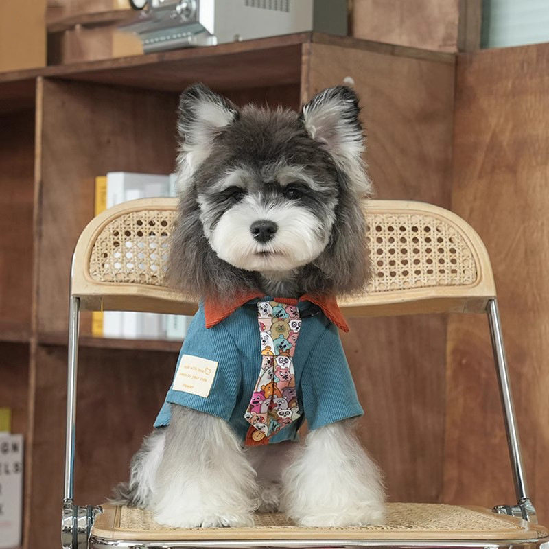 狗狗衣服小型犬秋冬衬衫港式复古痞帅领带灯芯绒翻领小狗狗外穿服