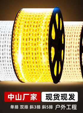 2835硅胶灯带220v超亮自粘线形氛围灯家用客厅户外防水led灯带