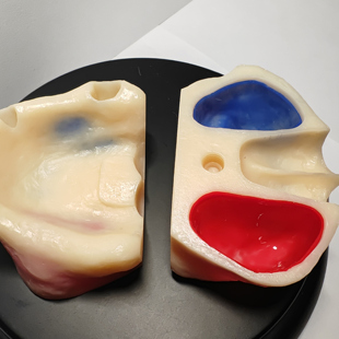 种植牙口腔模型练习，口腔教学，即刻种植， 上颌窦提升，