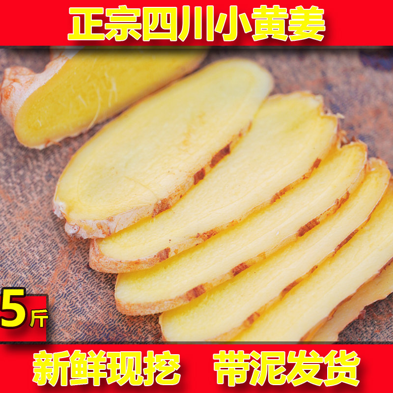 四川小黄姜新鲜生姜1斤现挖农家老姜小黄姜沙姜月子姜蔬菜包邮5斤|ruв категории водной мясо/свежие фрукты и овощи/еда, свежие овощи/овощной продукции, имбирь - от Buy2taobao.com для оказания профессиональной услуги покупки агента Taobao
