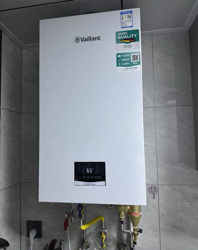 Vaillant威能壁挂炉成都上门维修锅炉热水器维修保养清洗维修故障