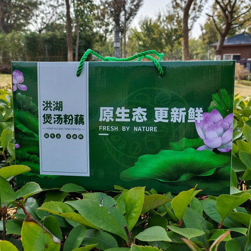 果心榴洪湖莲藕煲汤粉藕现挖现发