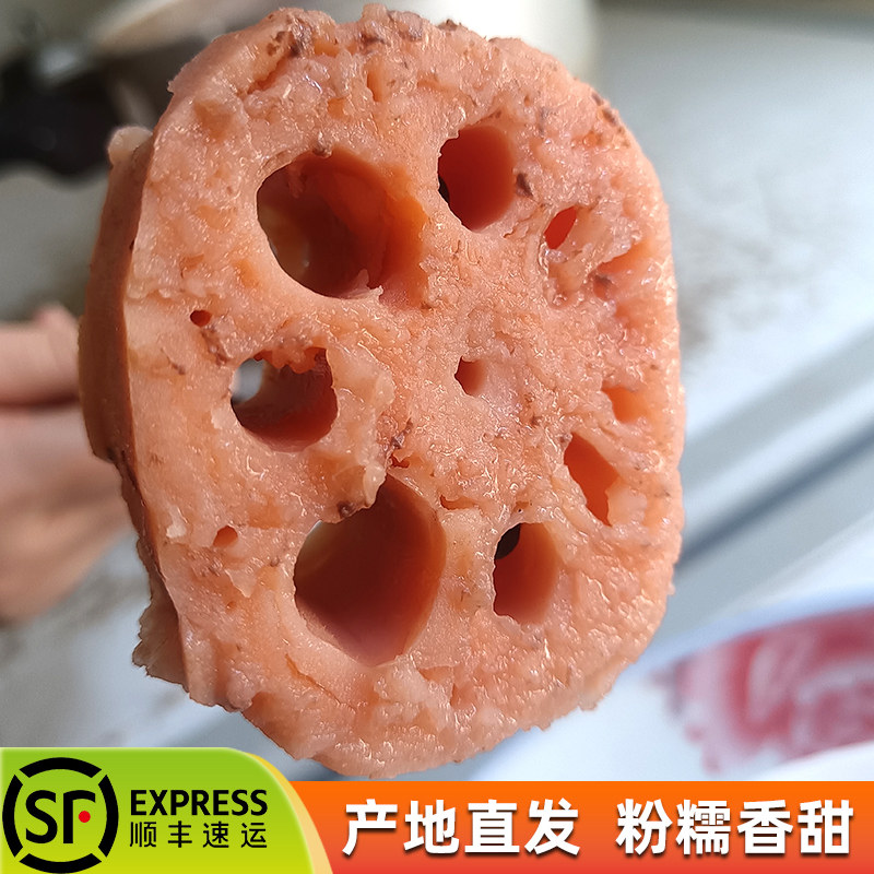 正宗洪湖莲藕新鲜现挖糯米藕煲汤粉糯炖汤湖北特产九孔粉藕红莲藕