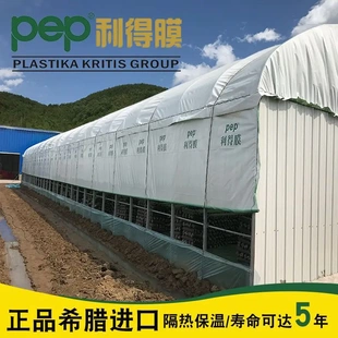 pep利得膜黑白膜鸡鸭大棚养殖抗老化隔热降温遮阳反光食用菌进口
