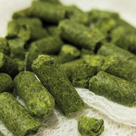 馒头防腐剂颗粒啤酒花家用商用自酿啤酒原料啤酒增香发酵苦花500g