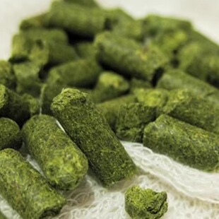 馒头防腐剂颗粒啤酒花家用商用自酿啤酒原料啤酒增香发酵苦花500g