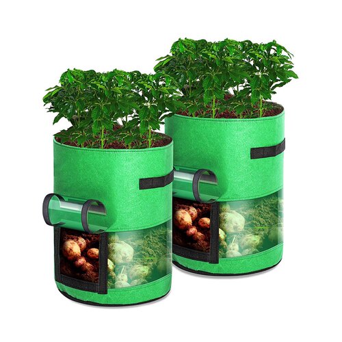 透明土豆种植袋阳台种菜盆无纺布