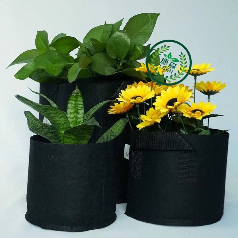 种植袋月季楼顶种菜种花盆无纺布图片