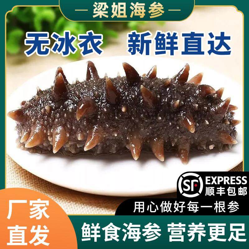 辽宁大连即食海参包装袋一斤开 袋即食真空袋独立礼盒礼品野生刺
