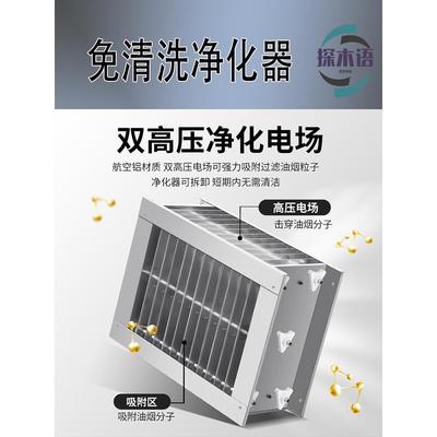 无烟烧烤车商用摆摊移动环保平吸款水电复合净化器木炭无烟烧烤炉