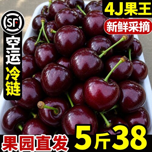 【果园现采直发】纯甜美早大樱桃