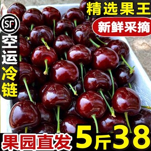 美早大樱桃山东烟台当应季新鲜水果国产车厘子孕妇整箱3J包邮礼盒