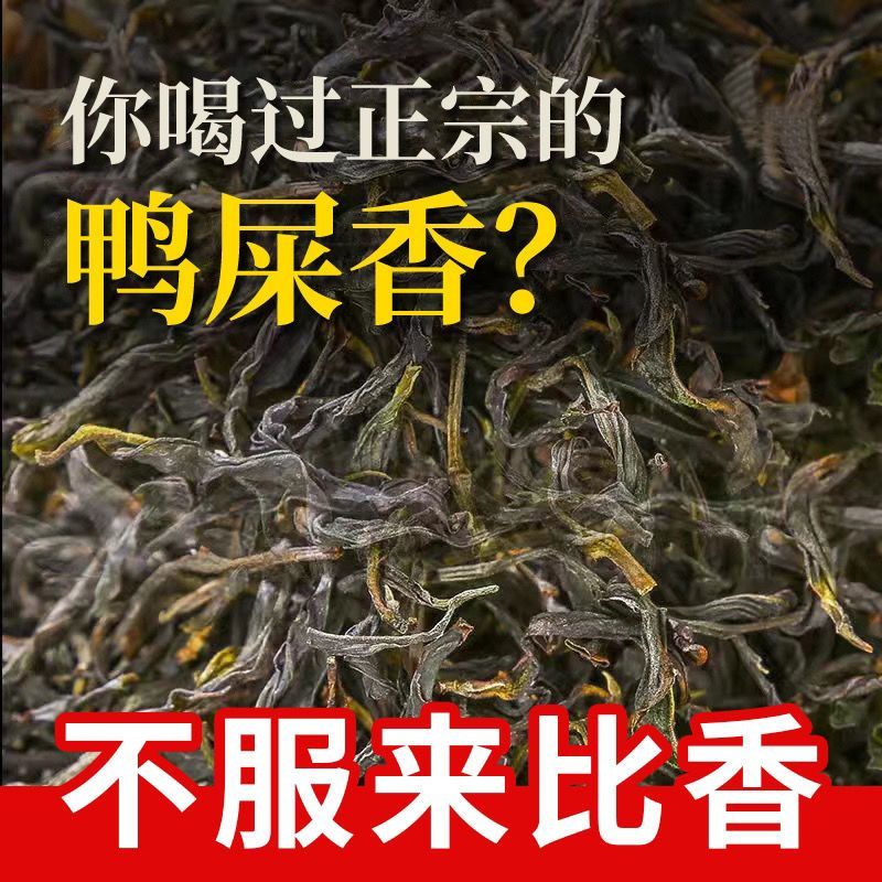 凤凰鸭屎香茶叶新茶单丛茶批发凤凰单枞茶黄枝香蜜兰香潮州500g克