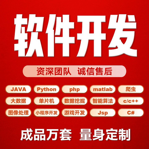 计算机程序设计定做ASP.NET开发PHP网站JAVA系统python安卓VUE