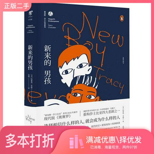 正版二手图书新来的男孩（美）特蕾西·雪佛兰（Tracy Chevalier）著；高翔译出版社9787559623935