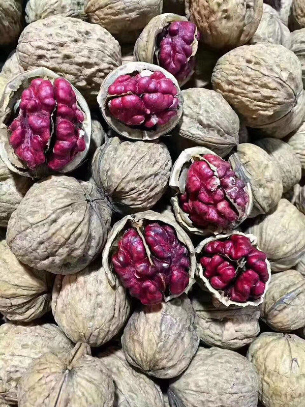 新疆红皮核桃新货薄壳500g野生