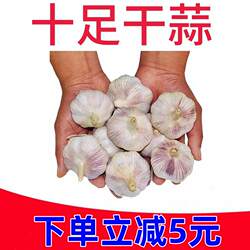 干大蒜头5斤10斤杞县大蒜批发特大新干蒜 蒜头紫皮山东白皮2斤3斤